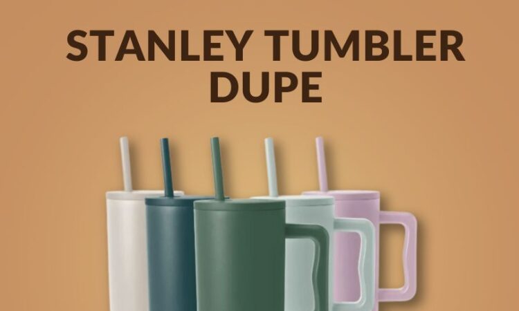 Stanley Tumbler Dupe