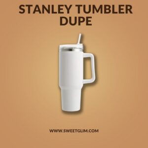 Stanley Tumbler Dupe Single