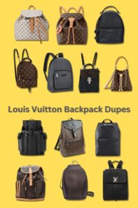 Louis Vuitton Backpack Dupes