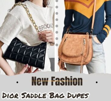Dior Saddle Bag Dupes featured image