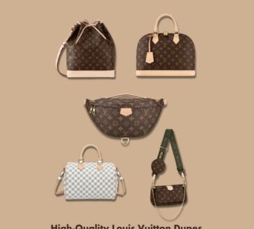 High-Quality Louis Vuitton Dupes Featured Image