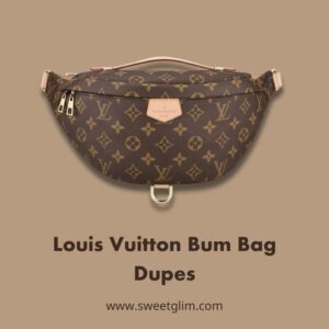 Louis Vuitton Bum Bag Dupes