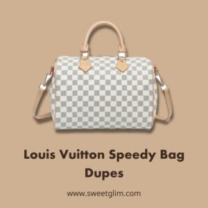 Louis Vuitton Speedy Bag Dupes