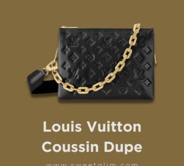 Louis Vuitton Coussin Dupe