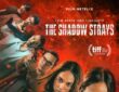 The Shadow Strays cover photo