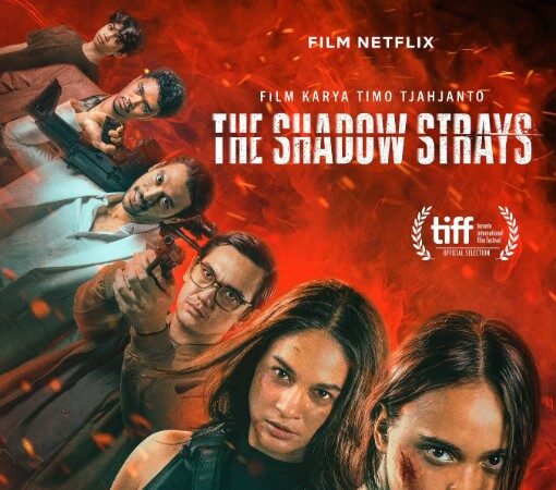 The Shadow Strays cover photo